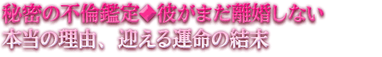�閧�̕s�ϊӒ聟�ނ��܂��������Ȃ��{���̗��R�A�}����^���̌���